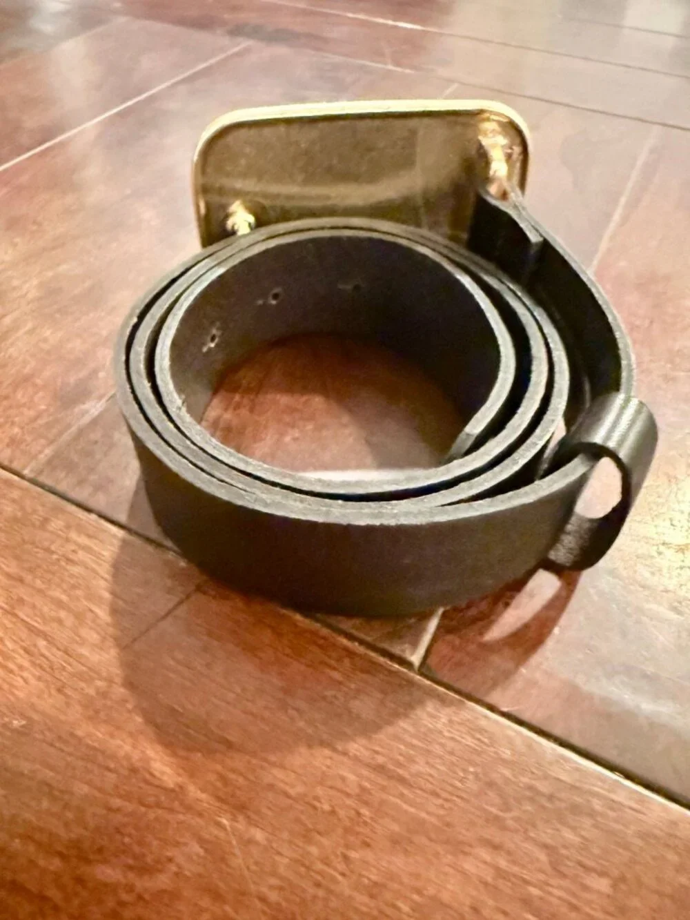 New! Everstar Western Abalone Shell Inlaid Leather Belt Size Small